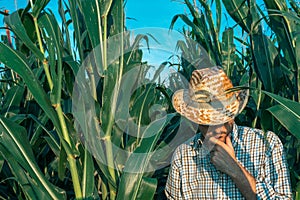 Portrait of male farmer in corn field