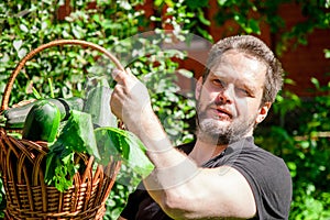 Portrait of a male farmer holding a basket of vegetables.Harvest of ecologically clean ripe vegetables and fruits