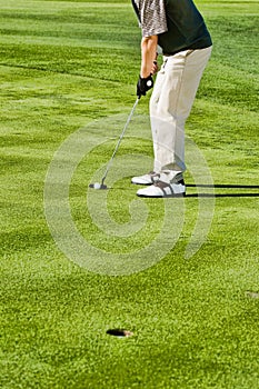Portrait of of Male Golfer Putting for Birdie photo