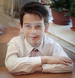 Portrait Of Male Primary School Pupil