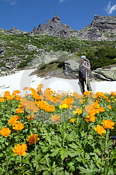 Portrait of a male traveler on the alpine meadow