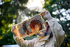 Portrait of man beekeeper holding honeycomb frame full of bees in apiary.