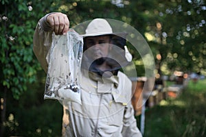 Portrait of man beekeeper working in apiary.