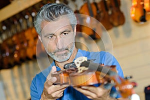 portrait man checking violin