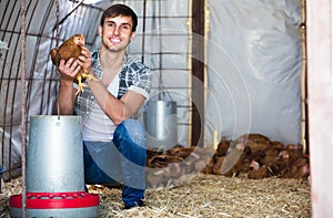 Portrait of man farmer with chicken on poultry farm indoors