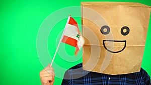 Portrait of man with paper bag on head waving Lebanese flag with smiling face against green background.