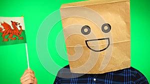 Portrait of man with paper bag on head waving Welsh flag with smiling face against green background.