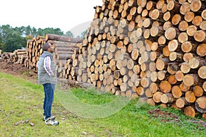 portrait man and pile lumber