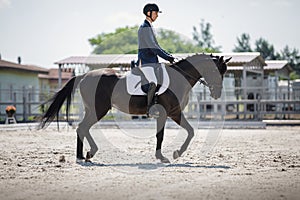 Man rider and black stallion horse trotting during equestrian dressage competition in summer