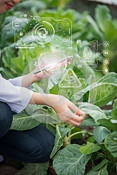 Portrait of Man and Woman agricultural researcher holding tablet while working on research at plantation in industrial greenhouse