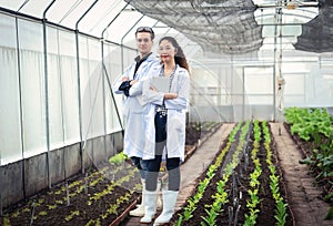 Portrait of Man and Woman agricultural researcher holding tablet while working on research at plantation in industrial greenhouse