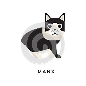 Portrait of manx cat. Short-haired tailless animal with cute rounded head, shiny eyes, white and black fur. Purebred pet