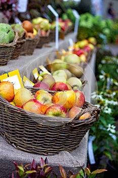 A portrait of a market stall displaying baskets full of biologically anh homegrown fruits. Most of these baskets are filled with