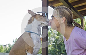 portrait of mature basenji wearing red sunglasses liking emale master while sitting in summer veranda