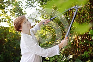 Portrait of mature female gardener. Woman working with secateur in domestic garden at summer day