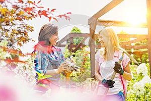 Portrait of mature female gardeners standing while talking