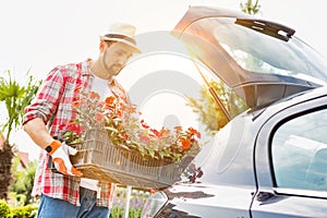 Portrait of mature gardener putting flowers on car trunk for delivery
