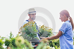 Portrait of mature gardener showing flowers to woman buyer in shop