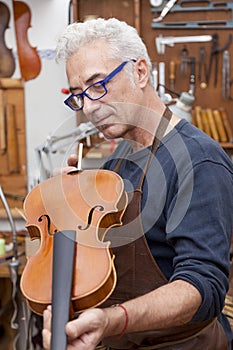 Portrait of mature violin maker