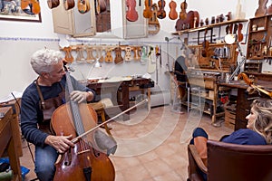 Portrait of mature violin maker