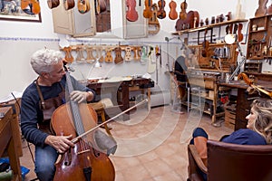 Portrait of mature violin maker