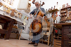 Portrait of mature violin maker
