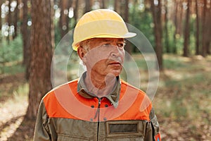 Portrait of mature woodsman posing in forest in open air and looking away with pensive expression, wearing uniform and yellow