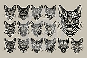 Portrait of meowing toyger cat head silhouette design bundle