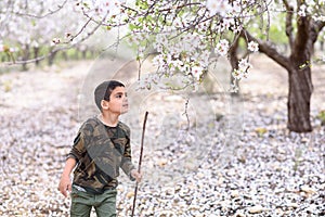 Portrait middle eastern boy in blossom spring garden background. Happy childhood. Beautiful world.