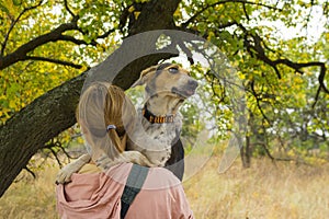 Portrait of mixed-breed female dog showing gladness while sitting on master hands