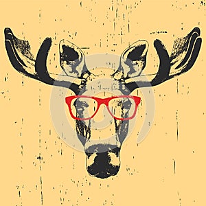 Portrait of Moose with glasses.