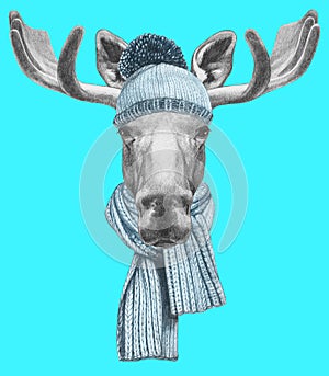 Portrait of Moose with hat and scarf.
