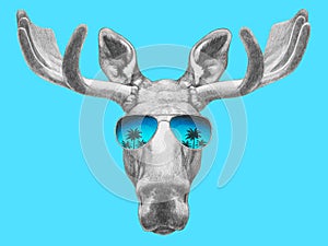 Portrait of Moose with mirror sunglasses.