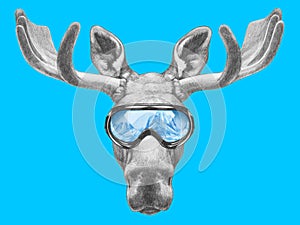 Portrait of Moose with ski goggles.