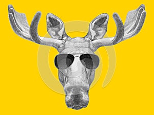 Portrait of Moose with sunglasses.