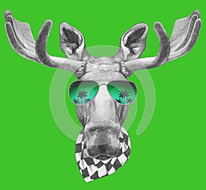 Portrait of Moose with sunglasses and scarf, hand-drawn illustration