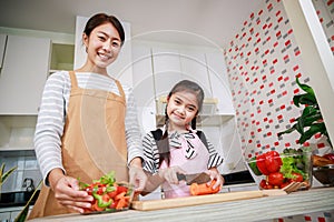 Portrait of mother and daughter enjoy preparing salad food together in kitchen at home