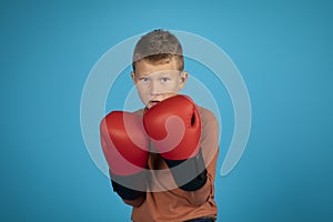 Portrait of motivated preteen boy wearing boxing gloves posing over blue background