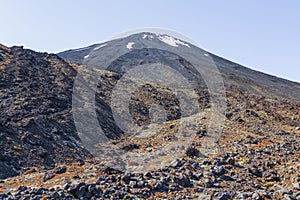 Portrait of Mountain. Tongariro alpine track. North Island. New Zealand