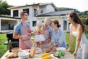 Portrait of multigeneration family outdoors on garden barbecue, grilling.