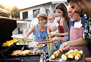 Portrait of multigeneration family outdoors on garden barbecue, grilling.