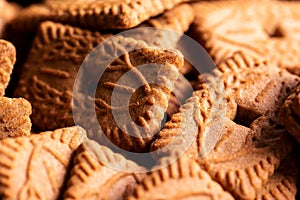 A portrait of multiple brown cookies called speculoos or speculaas in Belgium or the Netherlangs. The spiced biscuit is very