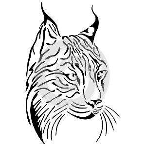 Portrait of a muzzle of a lynx in black, drawn with different lines. Design for logo, tattoo, mascot, symbol