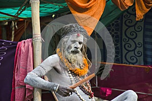Portrait of a naga sadhu taken at ganga sagar transit camp kolkata west bengal