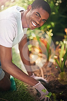 Portrait, nature and planting flowers with black man in garden of home for summer landscaping. Face, smile and gardening