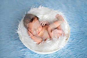 Portrait of a newborn baby 0-14 days old on a blue fur background, a newborn`s dream