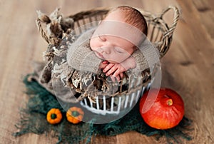 Portrait of newborn baby boy