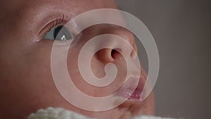 Portrait Of A Newborn Baby Closeup