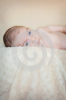 Portrait of newborn baby lying down over a blanket