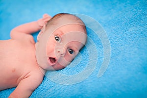 Portrait of newborn caucasian baby boy on blue plush plaid in selective focus